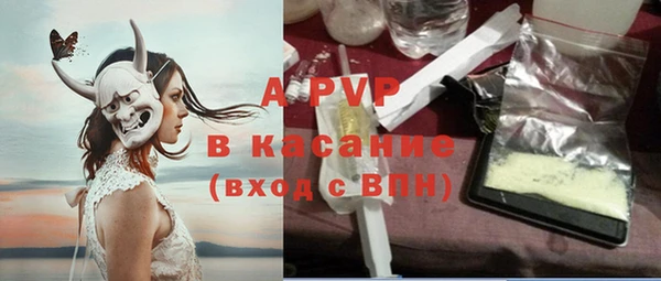 молекула духа Новодвинск