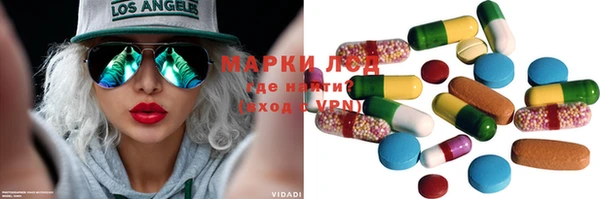 сатива Аркадак