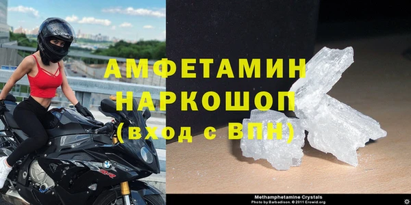сатива Аркадак