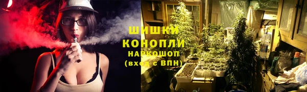 сатива Аркадак
