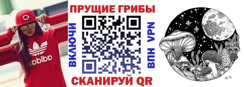 Псилоцибиновые грибы ЛСД  купить наркоту  Сатка 
